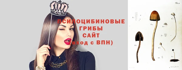ПСИЛОЦИБИНОВЫЕ ГРИБЫ Нефтегорск